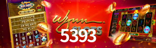 5393,5393 com