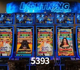 Recursos de Bônus 5393